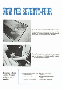 1974 Ford Thunderbird Facts-04.jpg
